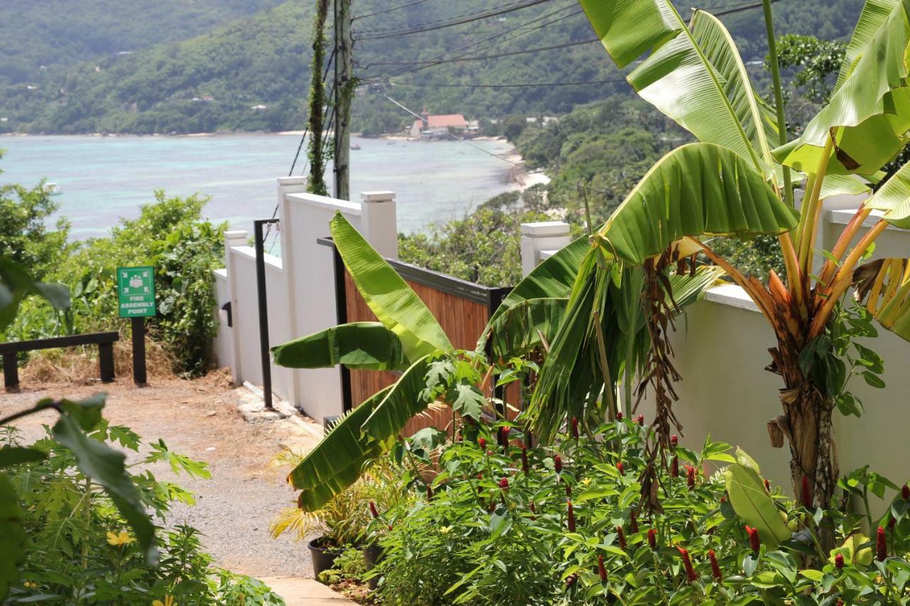Island Cove Apartment Victoria Bagian luar foto